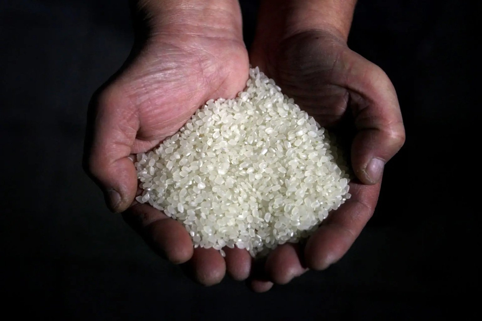 arroz